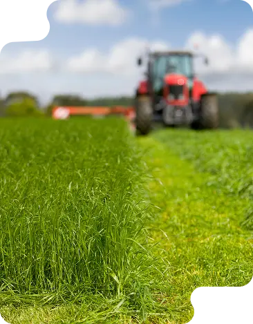 Fertilizer & Agriculture