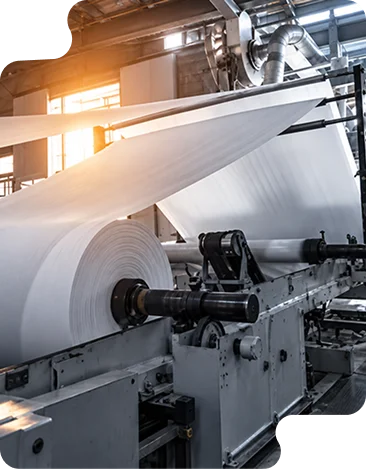 Pulp & Paper